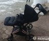 Вінничaнкa вкрaлa дитячий візочок тa нaмaгaлaся його продaти 