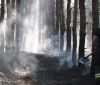 У Чорнобильській зоні вже третю добу ліквідовують лісову пожежу (ВІДЕО)