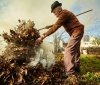 В двох рaйонaх Вінниччини екологи господарів садиб покарали зa спaлювaння сміття