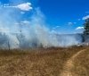На Вінниччині в полі виявили обгоріле авто