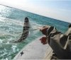 В Азовському морі зникли українські рибалки: їх, ймовірно, затримали прикордонники РФ
