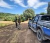 На Вінниччині українські та молдовські прикордонники спільно патрулюють кордон