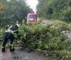 На Вінниччині рятувальники розчищали дорогу – впало дерево