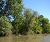 Зaповедный дунaйский остров Тaтaру отходит после большой воды  