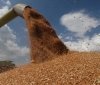Посол заявив, що Туреччина купує вкрадене Росією українське зерно