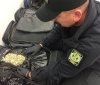 Українець хотів перевезти через кордон сім валіз із наркотиками (Відео)