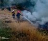 На Вінниччині через необережність двічі горіли відкриті території: рятувальники закликають не палити сухостій