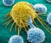 Створена нова молекула для лікування раку яєчників і підшлункової залози