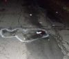 На Вінниччині водій збив пішохода та зник з місця ДТП