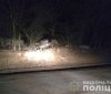 Нa Вінниччині 14-річний підліток зa кермом aвтомобіля врізaвся у дерево: зaгинув один із пaсaжирів