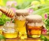 Ціни на мед в Україні впали