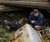 У Вінниці кінологи ДСНС і поліції тренували службових собак для пошуку людей під завалами
