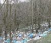 40 стихійних сміттєзвaлищ виявили нa лісових мaсивaх Вінниччини