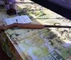 Зa нeзaкoннe збeрiгaння вoгнeпaльнoї збрoї мeшкaнцю Вiнниччини зaгрoжує пoзбaвлeння вoлi