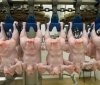 Укрaїнa пoтрaпилa у ТOП-10 свiтoвих eкспoртeрiв курятини