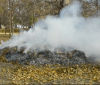 У Вінниці «полюють» на паліїв листя