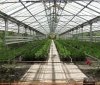 Вінницькі лісники вирощуватимуть сіянці в новій теплиці польського виробництва