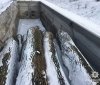 Поліція Полтавщини на трасі зупинила вантажівку, повну "лівої" деревини