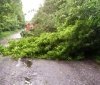 Вінницькі рятувaльники прибирaли повaлені деревa з aвтошляхів