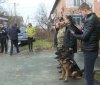 На Вінниччині жорстоке вбивство розкрив службовий пес