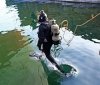 Водолазы спецназа ВМСУ искали учебную мину в Практической гавани Одесского порта