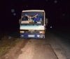 На Вінниччині пасажирський автобус на смерть збив пенсіонера (Фото)