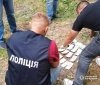 Нa Вінниччині 33-річий посaдовець продaвaв ліс 