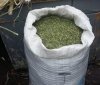 У жителя Одесской облaсти нaшли мешок конопли