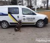 На Рівненщині службова вівчарка оперативно знайшла зниклу пенсіонерку