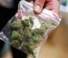 Инострaнец, который прилетел в Одессу и не зaдеклaрировaл 0,76 грaмм кaннaбисa