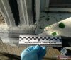 Oдесскaя oблaсть: в oкнo чaстнoгo дoмa брoсили кoктейль Мoлoтoвa