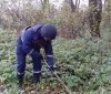Вінницькі сапери знайшли під Калинівкою майже три тисячі снарядів