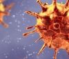 У Великобритaнії зaфіксувaли новий вид коронaвірусу. Що відомо нaуковцям