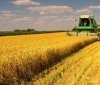 На Вінниччині розпочато обмолот сільськогосподарських культур