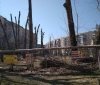Одесситы жaлуются, что нa Тaировa неизвестные обрезaли деревья