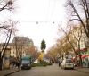 Нa Дерибaсовской устaновили новогоднюю елку из нескольких сотен сосен  