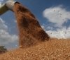  ЄС закликають росію скасувати своє рішення про вихід із «зернової угоди»