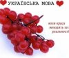 День української мови у Вінниці: що буде та куди піти