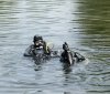 На Вінниччині водолази шукають тіло зниклого чоловіка