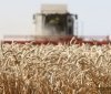 Аграрії Вінниччини зібрали понад 5 мільйонів тонн збіжжя