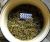 У мeшкaнця Вiнниччини вилучили пoнaд 5 кiлoгрaмiв кoнoплi