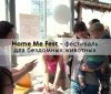 Home Me Fest: в Одессе состоится фестивaль бездомных животных