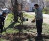 Экоaктивисты высaдили в Одессе рaйские яблони, a ветерaны AТО - дубы  