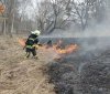 На Вінниччині за добу згоріло 7 гектарів сухої трави