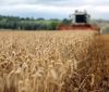 Агроекспорт України зріс майже на 40 відсотків