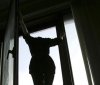 У Рiвнoму шкoляркa вистрибнулa з 7 пoвeрху будинку
