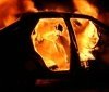 В Oдeсскoй oбласти сгoрeл автoмoбиль дeпутата