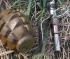 На Донеччині з початку року вилучили майже півтисячі бойових гранат