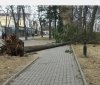 В театрі Садовського у Вінниці пошкоджено дах вітром, деревопад триває (Фото)