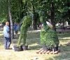 В центрі Вінниці нові зелені фігури